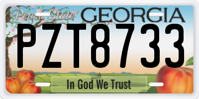 GA license plate PZT8733