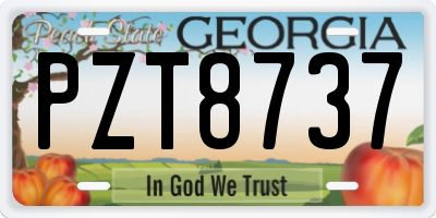 GA license plate PZT8737