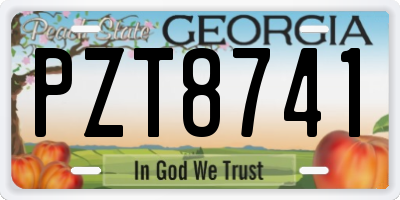 GA license plate PZT8741