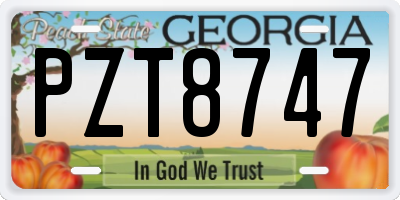 GA license plate PZT8747