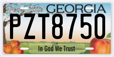 GA license plate PZT8750