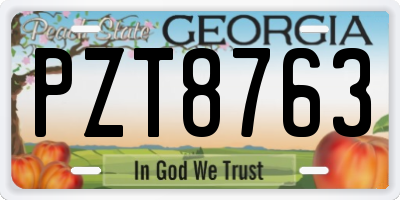 GA license plate PZT8763