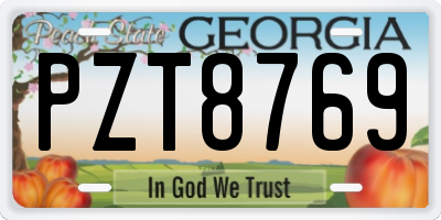 GA license plate PZT8769