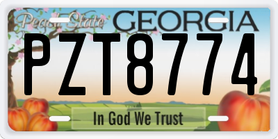 GA license plate PZT8774