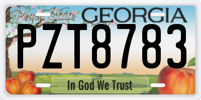 GA license plate PZT8783