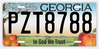 GA license plate PZT8788