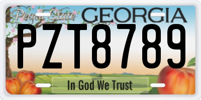 GA license plate PZT8789