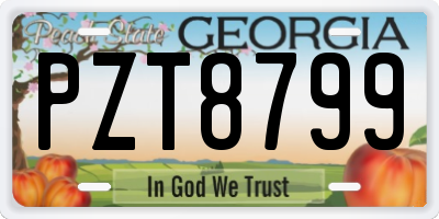 GA license plate PZT8799