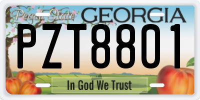 GA license plate PZT8801