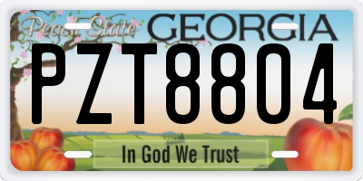 GA license plate PZT8804
