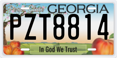 GA license plate PZT8814
