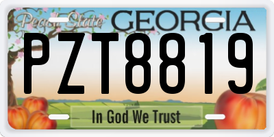 GA license plate PZT8819