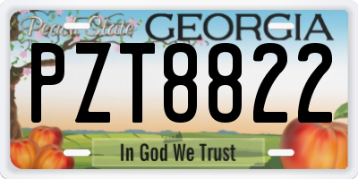 GA license plate PZT8822