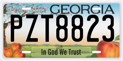 GA license plate PZT8823
