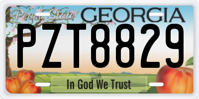 GA license plate PZT8829