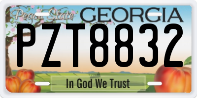 GA license plate PZT8832