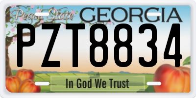 GA license plate PZT8834