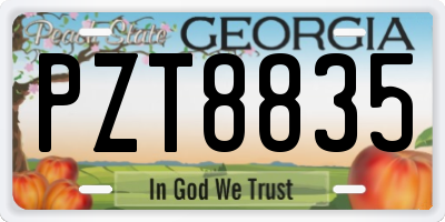 GA license plate PZT8835