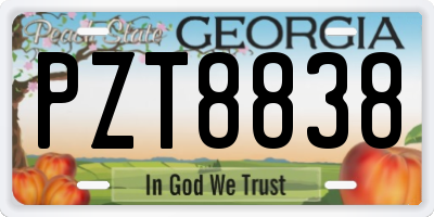 GA license plate PZT8838