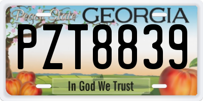 GA license plate PZT8839