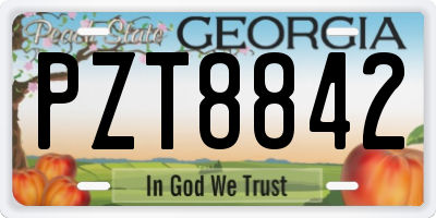 GA license plate PZT8842