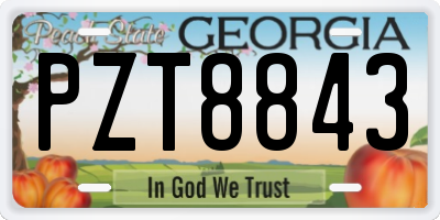 GA license plate PZT8843