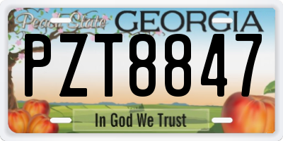 GA license plate PZT8847