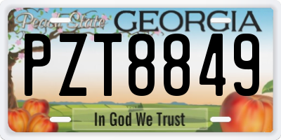 GA license plate PZT8849