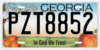 GA license plate PZT8852