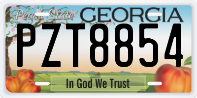 GA license plate PZT8854