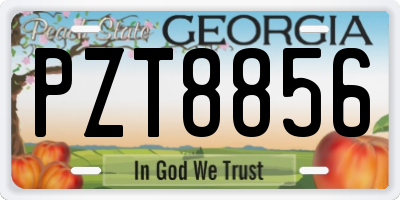 GA license plate PZT8856