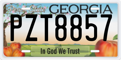 GA license plate PZT8857