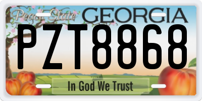 GA license plate PZT8868