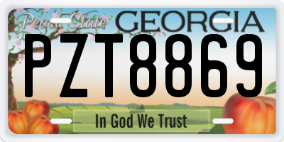 GA license plate PZT8869
