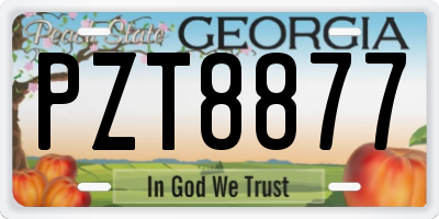 GA license plate PZT8877