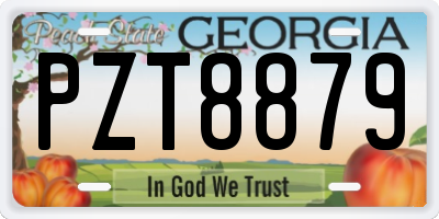 GA license plate PZT8879