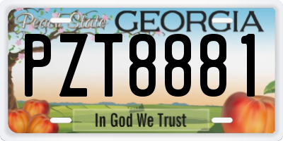 GA license plate PZT8881