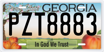 GA license plate PZT8883