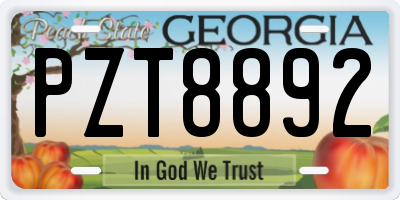 GA license plate PZT8892