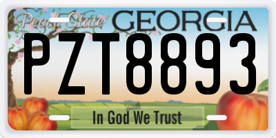 GA license plate PZT8893
