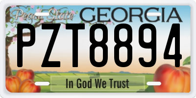 GA license plate PZT8894