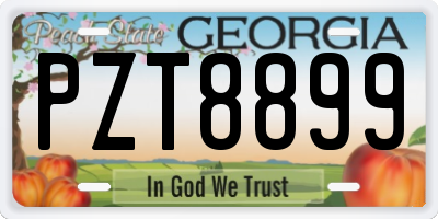 GA license plate PZT8899