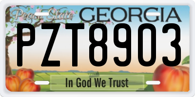 GA license plate PZT8903