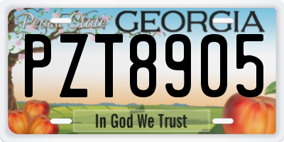 GA license plate PZT8905