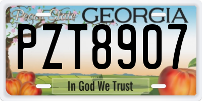 GA license plate PZT8907