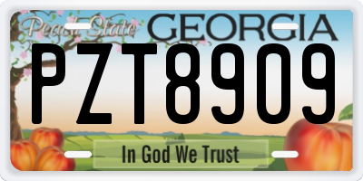 GA license plate PZT8909