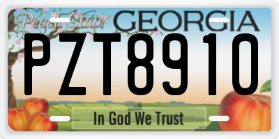 GA license plate PZT8910