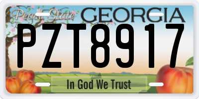 GA license plate PZT8917