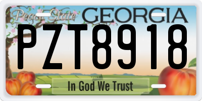 GA license plate PZT8918