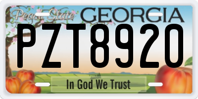 GA license plate PZT8920